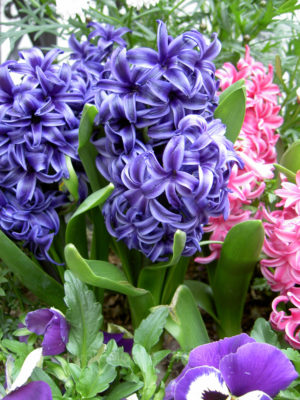 02-7723-1jpg_27075116903_o