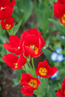 03-1104jpg_27407151200_o