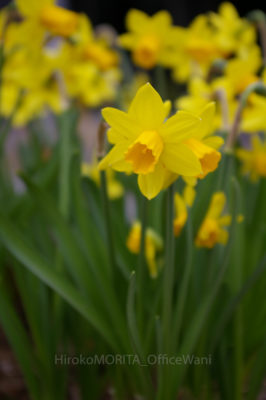 05-2699-1jpg_27685633065_o