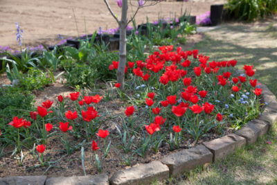 06-8714-1jpg_27584976482_o