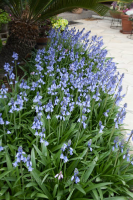 08-1151jpg_27584985122_o