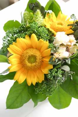 05-4274jpg_27650924056_o