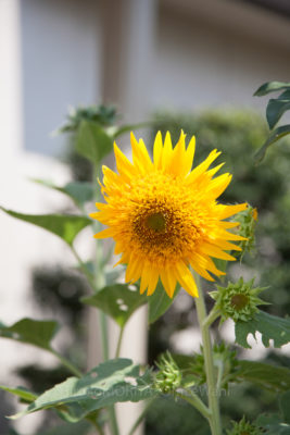 04-9722-1jpg_27611254311_o