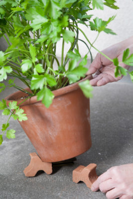 03-2629-1jpg_27670356826_o