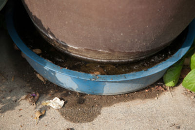 07-5628jpg_27094180353_o