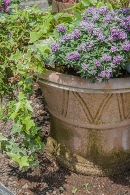 08-5711jpg_27092210594_o