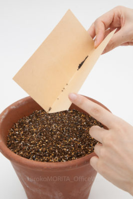 02-3898-1jpg_27092386104_o