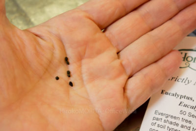 03-4057jpg_27094375493_o