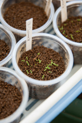 05-0918jpg_27094371333_o