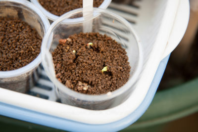 06-0899jpg_27094373403_o