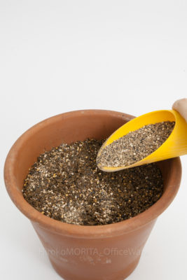 04-3888-1jpg_27094464943_o