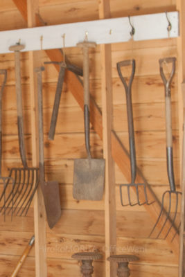 03-9876jpg_27604531682_o