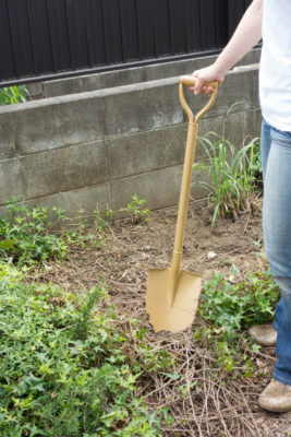 05-0091jpg_27092542754_o