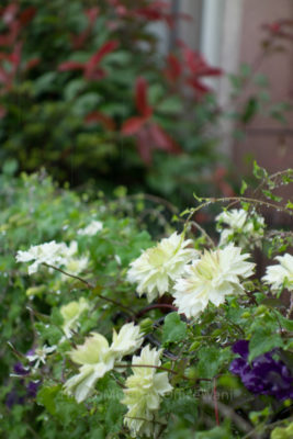 gs1660703-0104-2jpg_27623491733_o