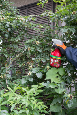 gs1660706-9662jpg_28134920342_o