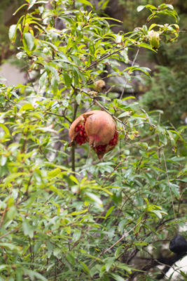 _dsc3185jpg_27558286685_o