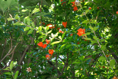 _dsc9385jpg_27486037511_o