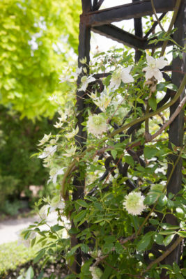 gs1660702-1797jpg_27665692624_o