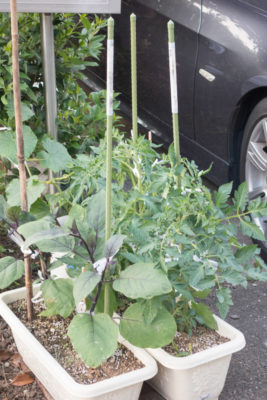 gs1660705-0004jpg_28203296271_o