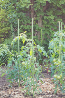 gs1660706-0525jpg_27666191733_o