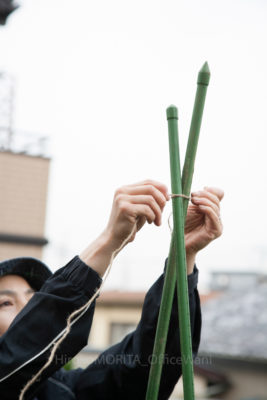 見た目がよくて手間いらず コンテナでキュウリやミニトマトを育てるには オベリスクがおすすめ Greensnap グリーンスナップ