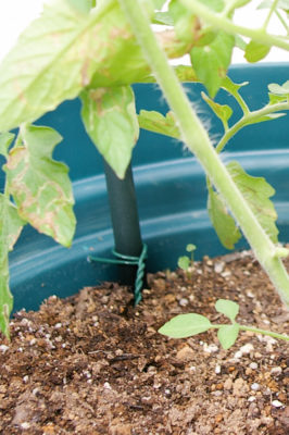 gs1660709-1283-1jpg_28203356111_o