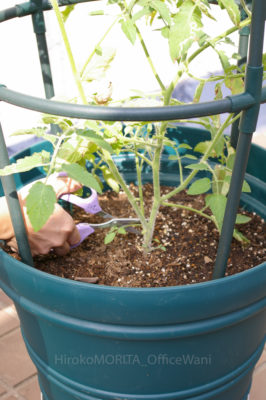 gs1660710-1299-1jpg_28281689145_o