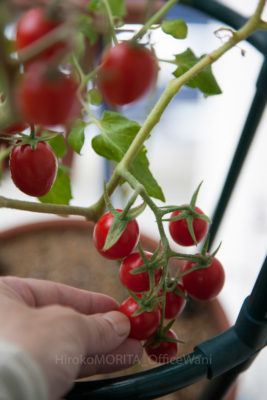 gs1660711-9227-1jpg_27666212803_o