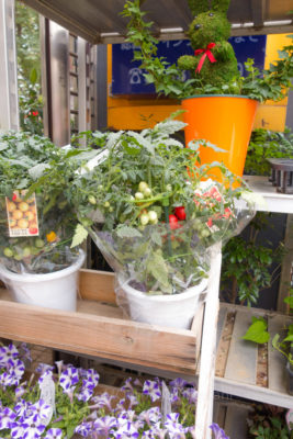 gs1660714-9861jpg_28281703965_o