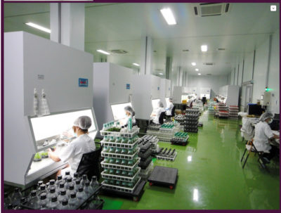 06-0003jpg_28319718215_o