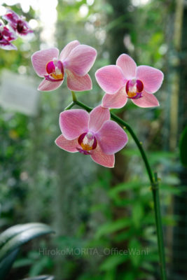 gs1660703-1722jpg_28037924460_o