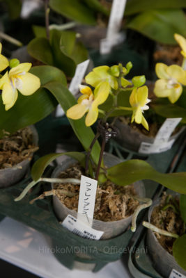 gs1660714-0574jpg_27703833873_o