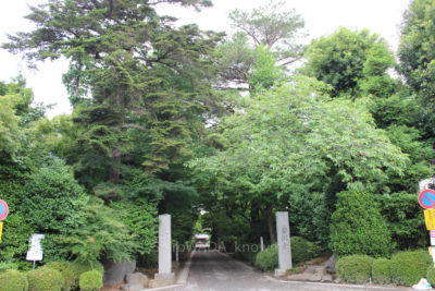 gs16071-09-5809jpg_28579244195_o