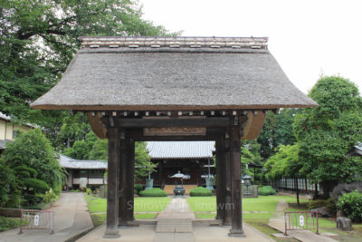 gs16071-10-5816jpg_27963763203_o