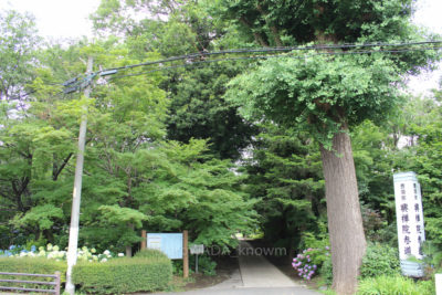 gs16073-03-5739jpg_28580228925_o