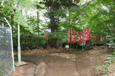 gs16073-09-5761-2jpg_28295963800_o