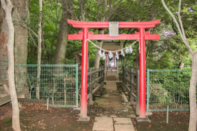 gs16073-10-5780jpg_28547293316_o