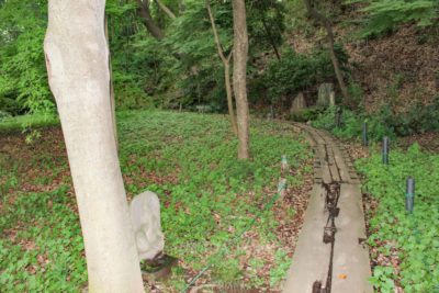 gs16073-11-5764jpg_27962927884_o