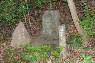 gs16073-12-5766jpg_28580278545_o