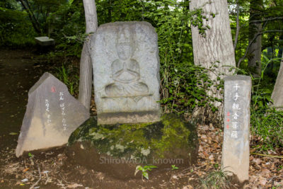 gs16073-13-5779jpg_27962935724_o