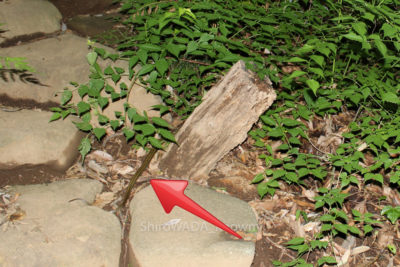 gs16073-14-2-5775jpg_28547559816_o