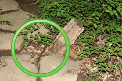 gs16073-14-5775jpg_27964772423_o