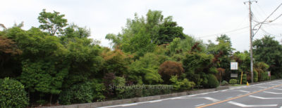 gs16074-02-5783jpg_28502024591_o