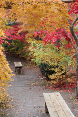 gs16074-03-2647jpg_28502029991_o