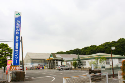 gs16075-03-5905jpg_28502688441_o