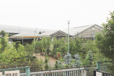 gs16075-04-5918jpg_28474653342_o