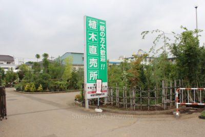 gs16075-08-5955jpg_28296802090_o