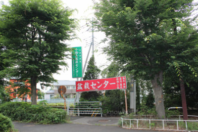 gs16075-10-5959jpg_28474680162_o