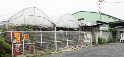 gs16075-11-5960jpg_28581152625_o