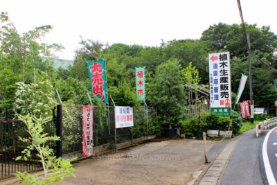 gs16075-12-5786jpg_28502732971_o